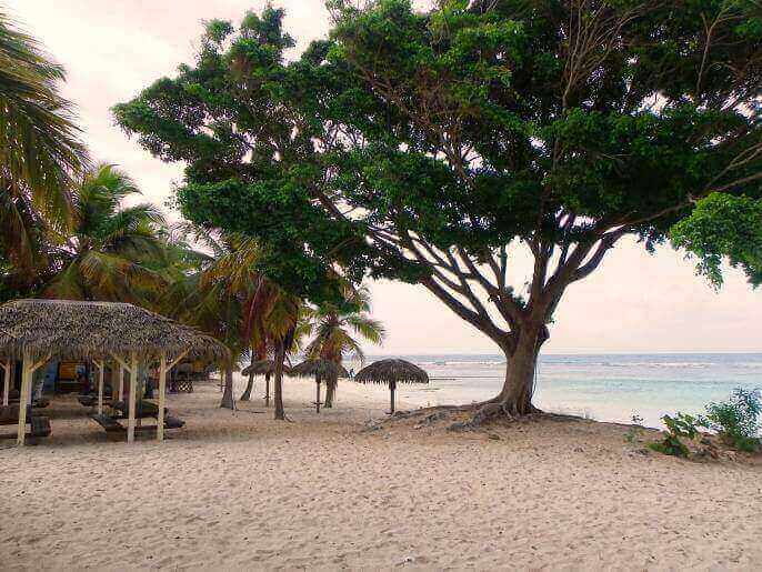 Location VillaAppartement en Guadeloupe - plage