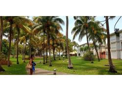 location Maison Villa Guadeloupe - parc arboré de la résidence