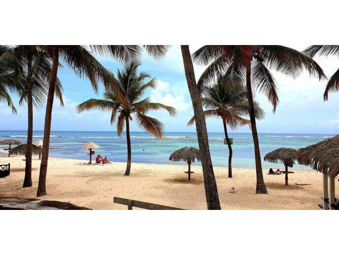 Location Appartement & Villa en Guadeloupe - plage à 250m de l'appartement
