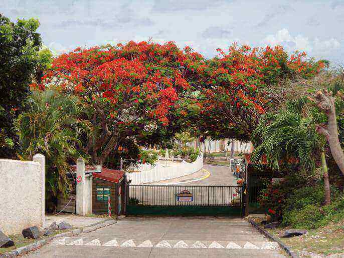 Location VillaAppartement en Guadeloupe - Portail d'entrée de la résidence