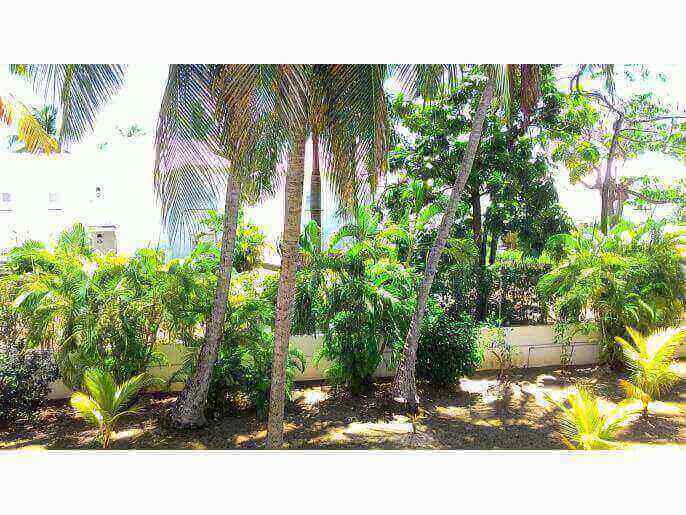 Location VillaAppartement en Guadeloupe - vue jardin