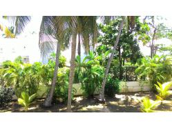 location Maison Villa Guadeloupe - vue jardin