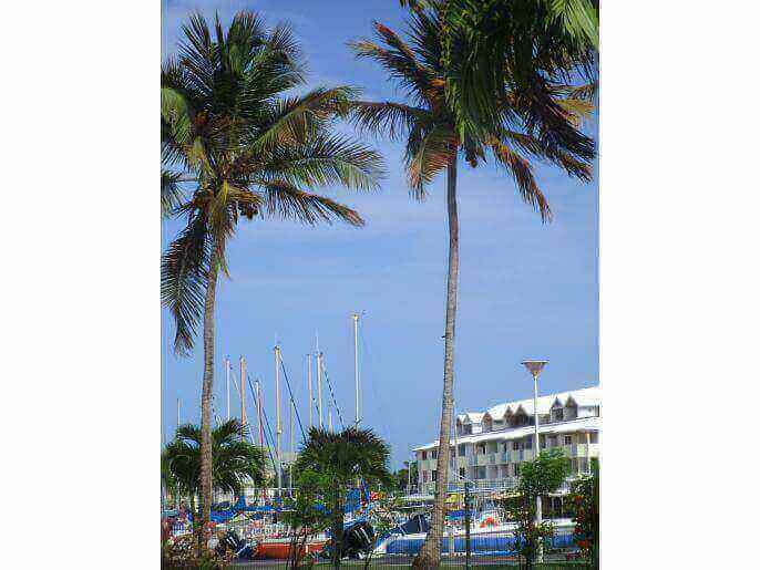Location Appartement & Villa en Guadeloupe - La Marina depuis la Résidence