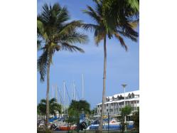 location Maison Villa Guadeloupe - La Marina depuis la Résidence