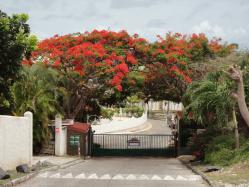 location Maison Villa Guadeloupe - Portail d'entrée de la résidence