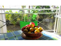 location Maison Villa Guadeloupe - Appartement 4 couchages Saint François