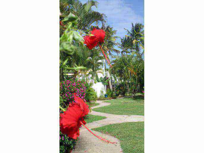 Location VillaAppartement en Guadeloupe - La résidence