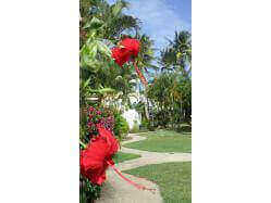 location Maison Villa Guadeloupe - La résidence