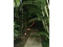 location Maison Villa Guadeloupe - L Allee pour arriver à votre coin de paradis ????