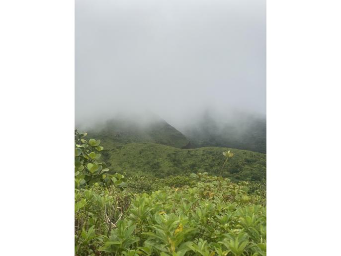 Location VillaBungalow en Guadeloupe - Randonnee