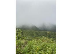 location Maison Villa Guadeloupe - Randonnee