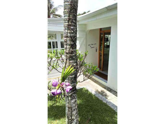 Location VillaMaison en Guadeloupe - Maison 11 couchages Baie Mahault