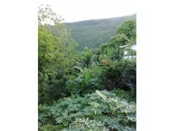 location Maison Villa Guadeloupe - Le paysage 