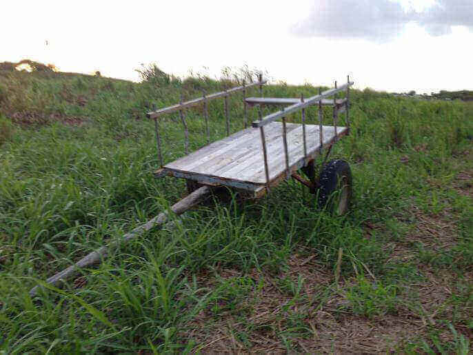 Location VillaMaison en Guadeloupe - Photos de la Maison et des environs