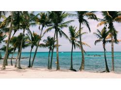 location Maison Villa Guadeloupe - Maison 6 couchages Saint François