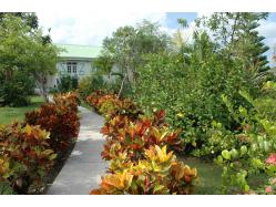 location Maison Villa Guadeloupe - Maison 8 couchages Saint François